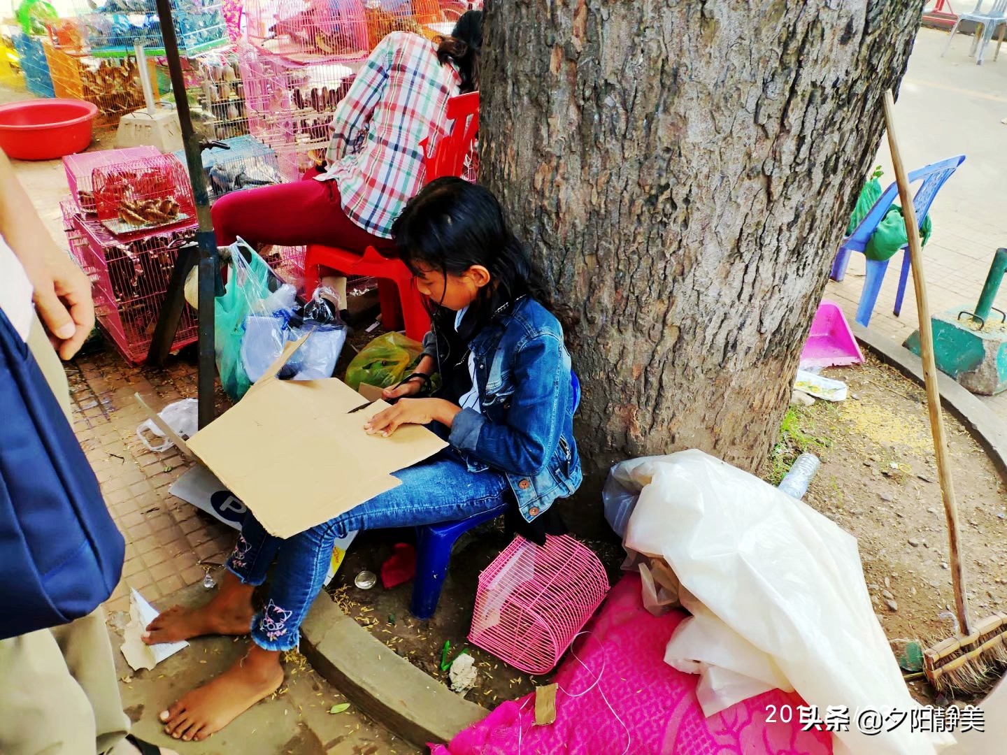 柬埔寨旅行是一种什么样的体验,我的柬埔寨之行柬埔寨旅游攻略