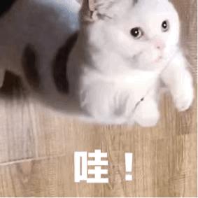 速抢！淮南雅迪免费领头盔，还有超值惊喜特价车型限时抢...