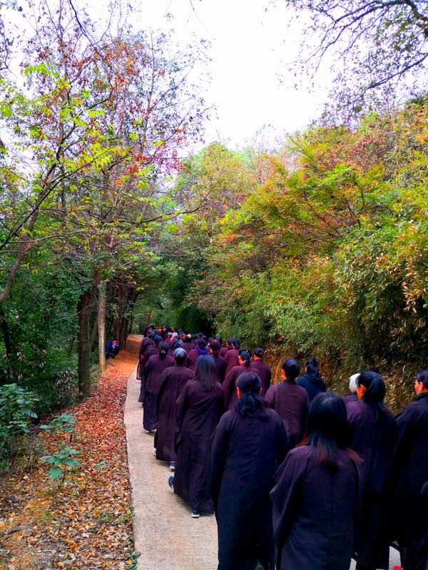 洞庭湖中一寺院举办“走禅路，忆初心原始禅修活动