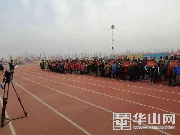 临渭区第七届青少年足球联赛,2024渭南青少年足球锦标赛