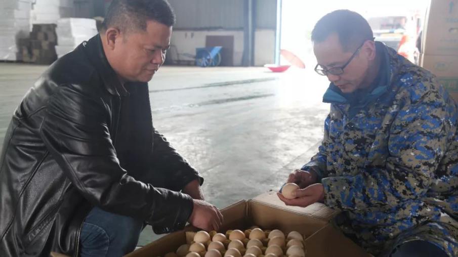 湖南饲料大王:辞去铁饭碗创业,如今公司年产值超4亿