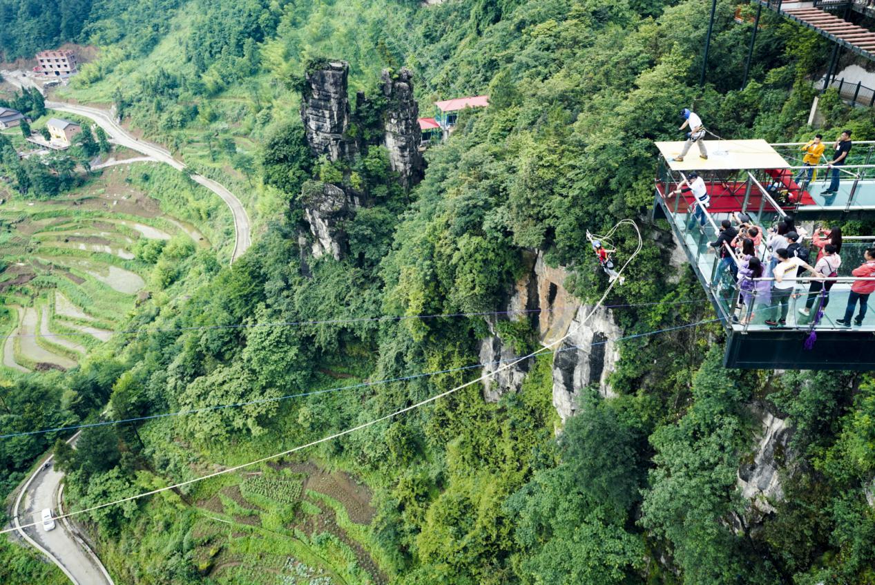 奥陶纪有哪些刺激的东西,奥陶纪最刺激项目