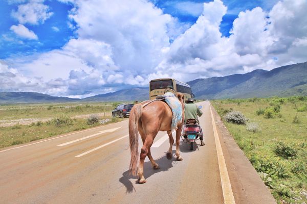 丽江小时光，遇见皆是欢喜