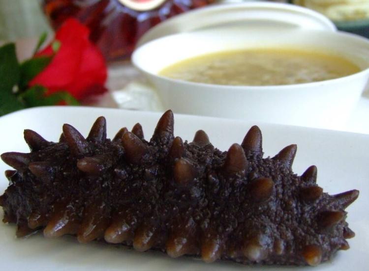 葱烧海参活海参怎么做汤,海参可以和香菇一起炖吗