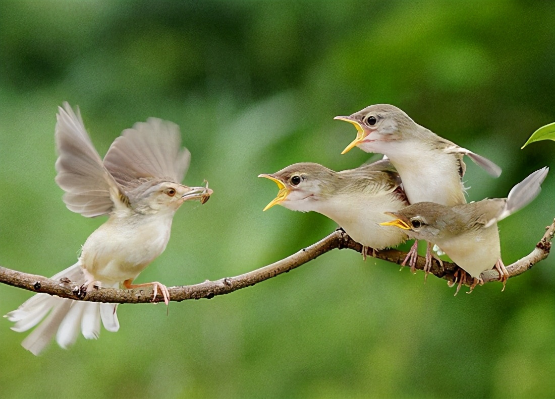 五年级语文写人考试作文范文,五年级上册写人作文秘诀方法