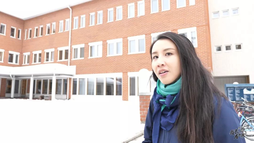 芬兰国家实力,芬兰的冰球强国