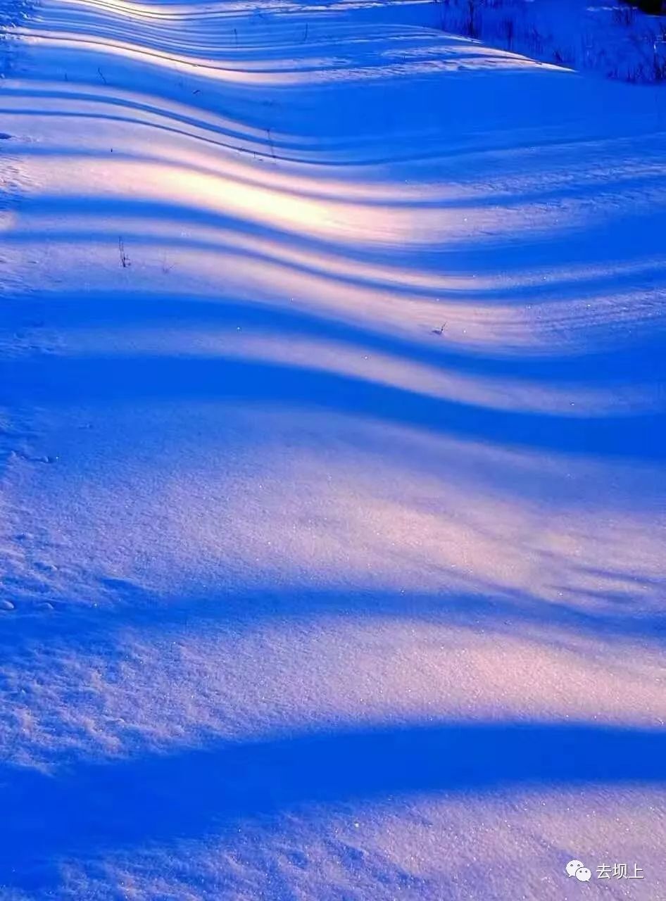 坝上摄影攻略,坝上夏季摄影