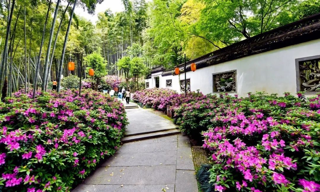 欣赏西湖的全景太美了,西湖美景实在美怎么也看不够