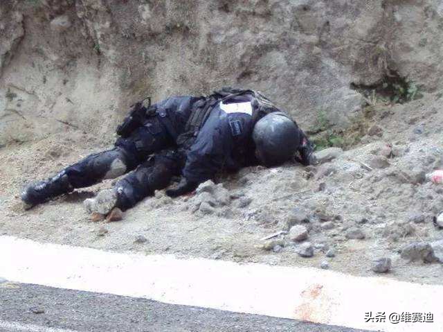 酒井法子一手好牌是如何被打烂的,酒井法子十大记忆