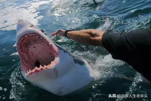 最新世界十大“怪”，最后一个太绝了！