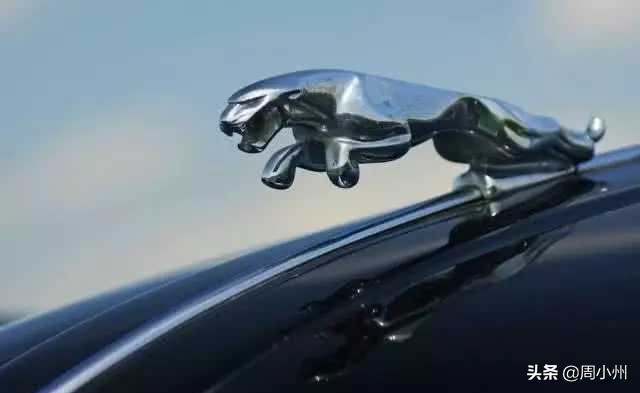 以动物命名的汽车,以动物为名的各种品牌