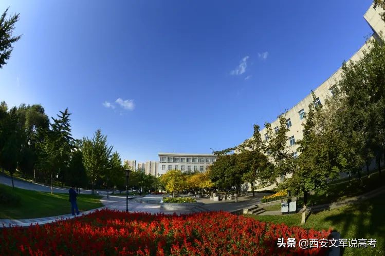 东北大学2020届毕业生就业,东北大学2021就业报告单
