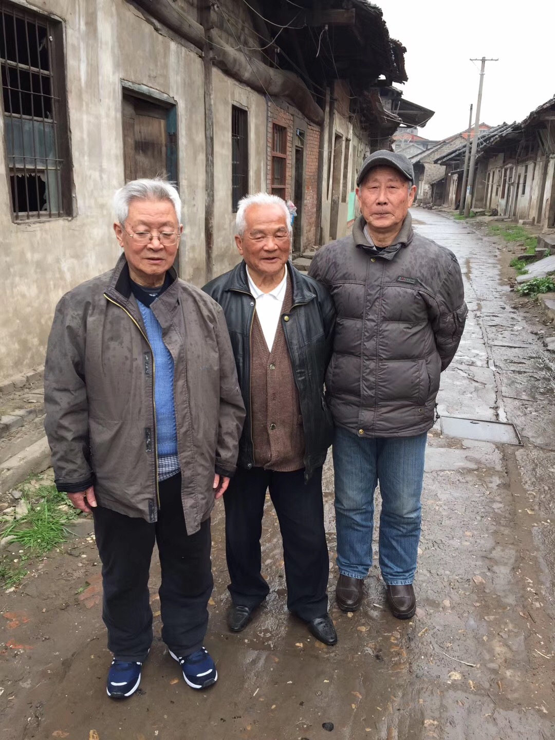 腊梅在哪有,在腊梅盛开的地方