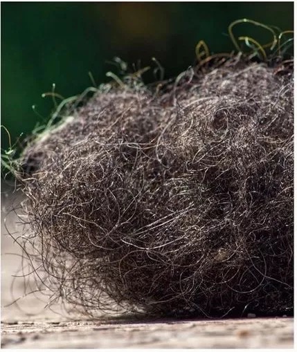 3s床垫是否值得买,3s床垫是什么