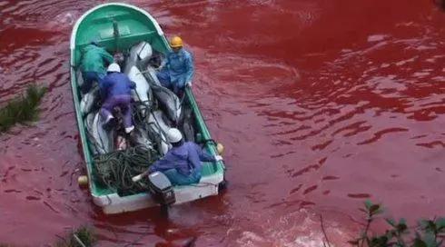 富二代晒骨皮包的残忍真相,富二代晒人骨皮包的残忍真相