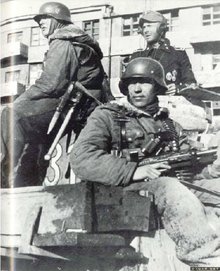 恐怖的骷颅——*党**卫军第三装甲师