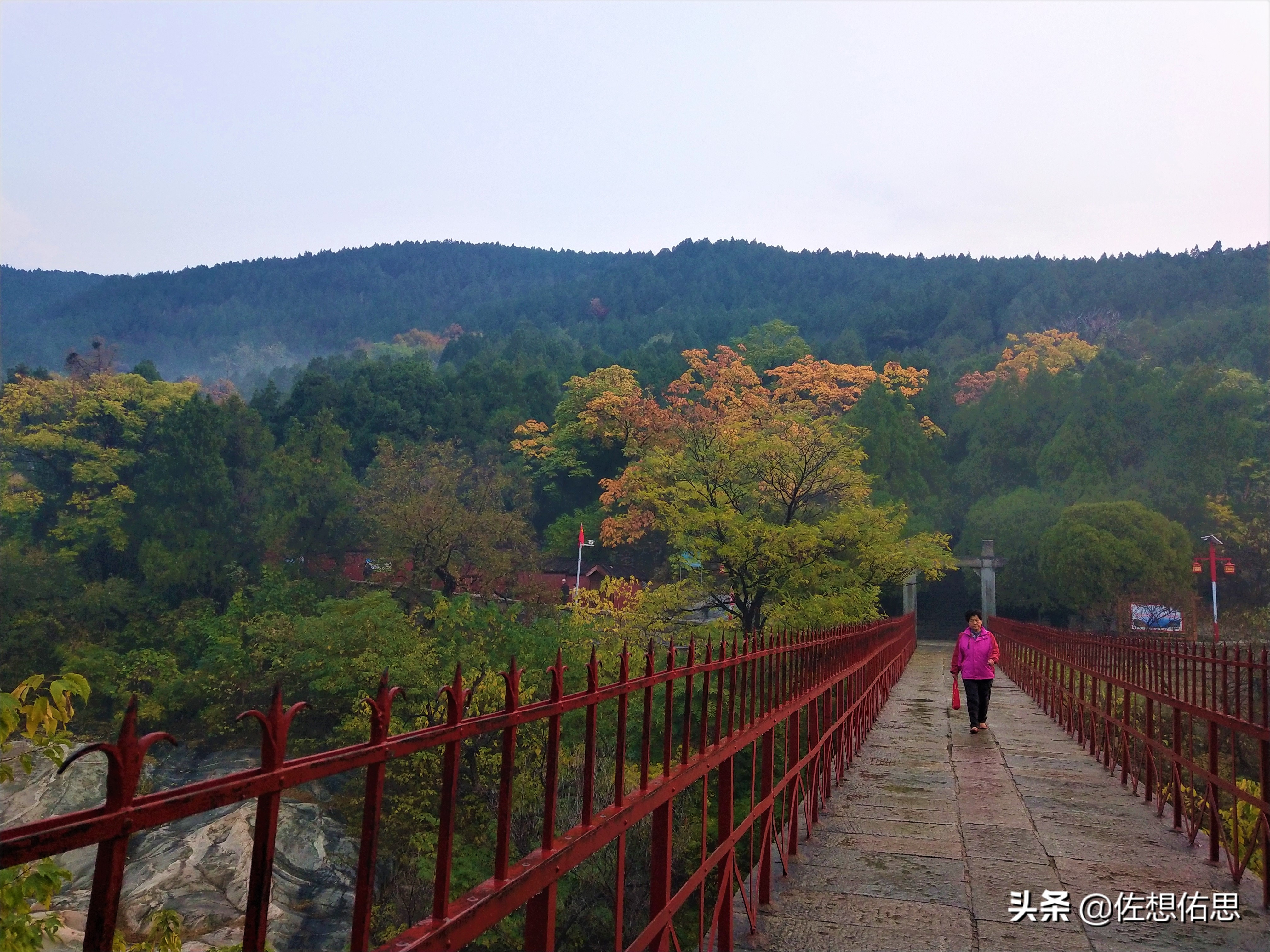 泰安扇子崖免门票吗,扇子崖门票多少钱