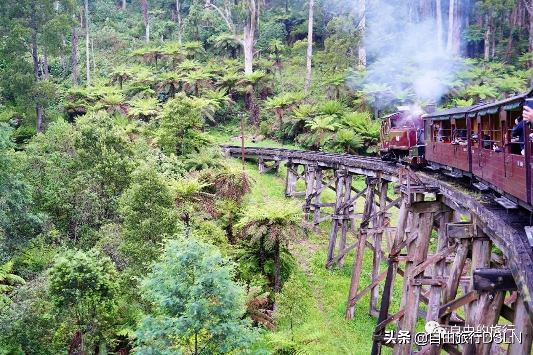 土澳,土澳新闻视频