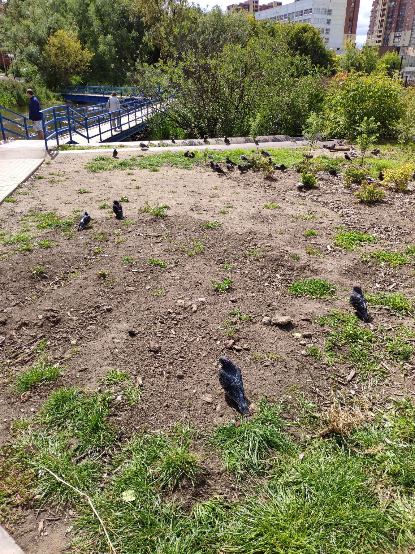 俄罗斯物价真的那么便宜吗,有什么你去了瑞典才知道的事情