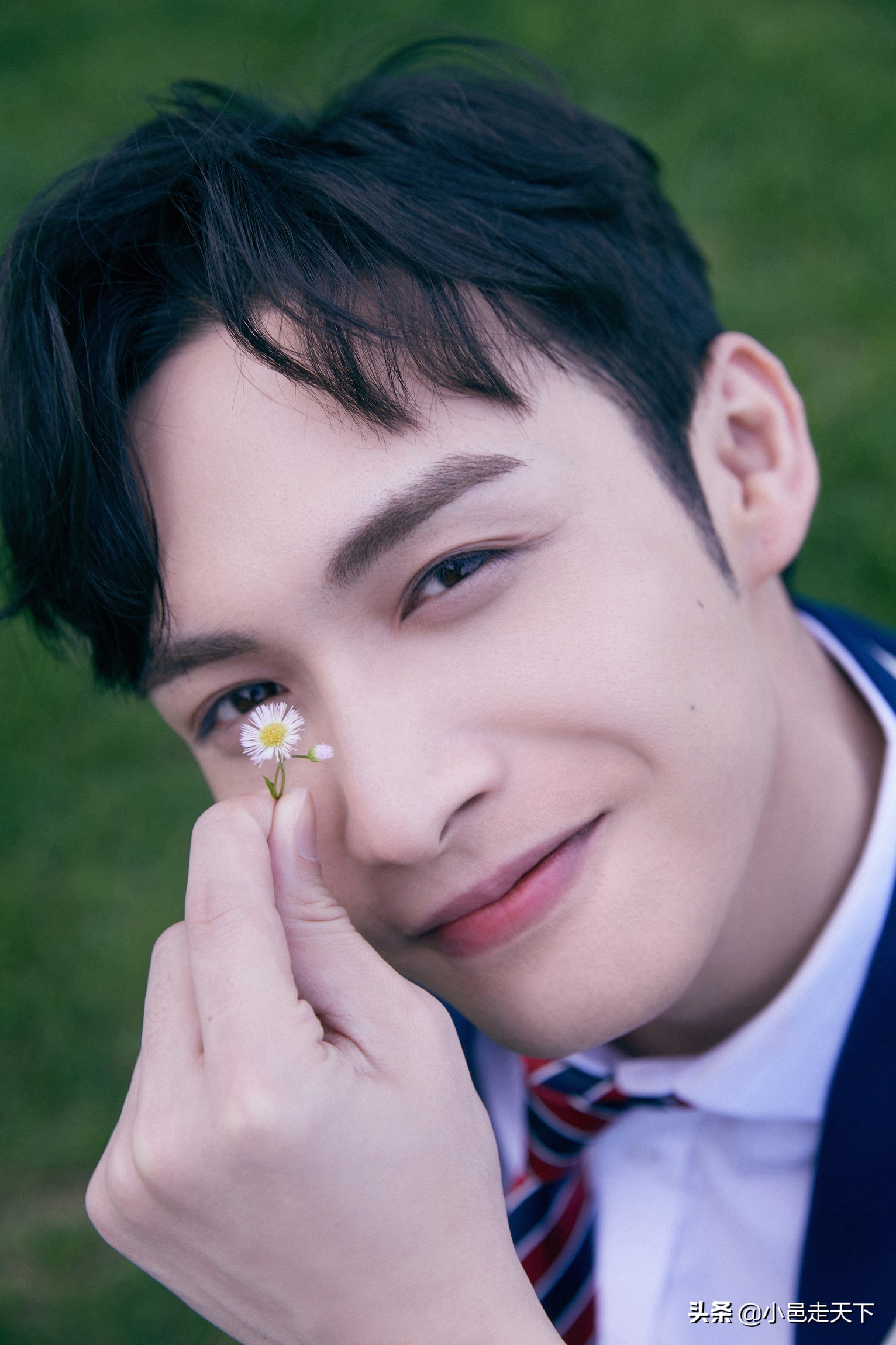 三分野张彬彬同款西装,张彬彬西装图片图文