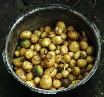 这些闻所未闻的食材和吃法，引爆你的味蕾！