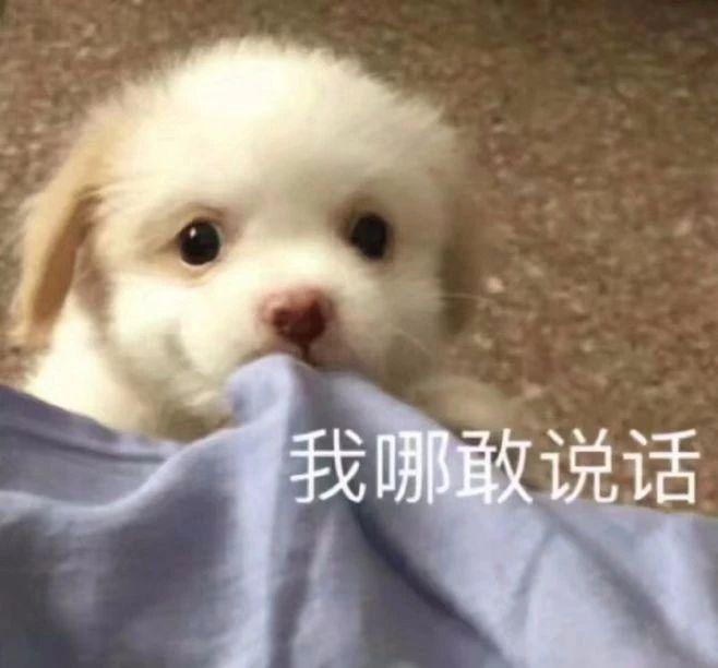 贫穷的时候该怎么度过,暑假的生活就是这样过的