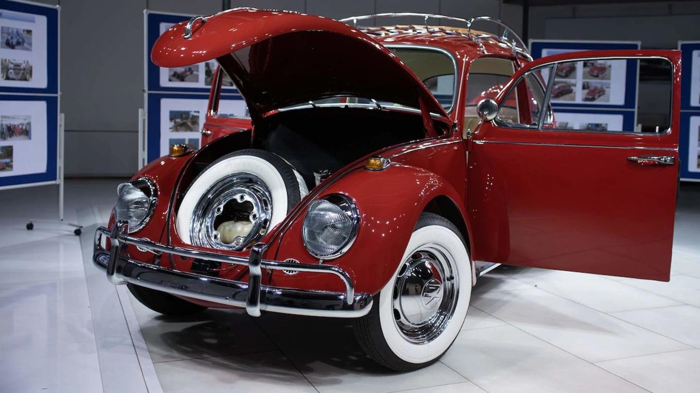 甲壳虫安妮视频,甲壳虫安妮后续