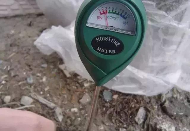 春天养花用见干见湿还是干透浇透,养花的土什么情况叫见干见湿