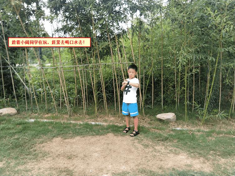 360儿童手表深度测评,360电话手表p1pro和p2对比