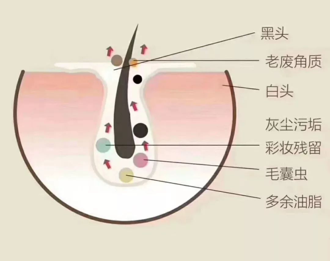 泫雅宣传品牌内衣，身材有致性感迷人，皮肤光滑透亮惹人爱