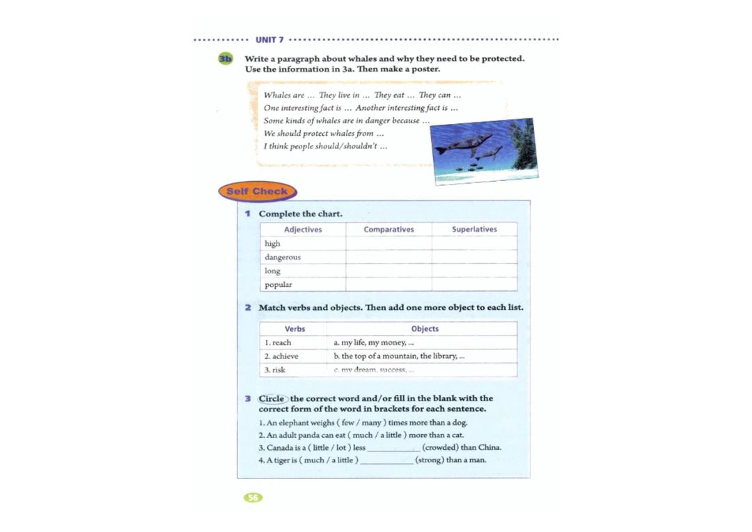 八年级下册英语教材完全解读下载,在家学人教版五年级英语下册