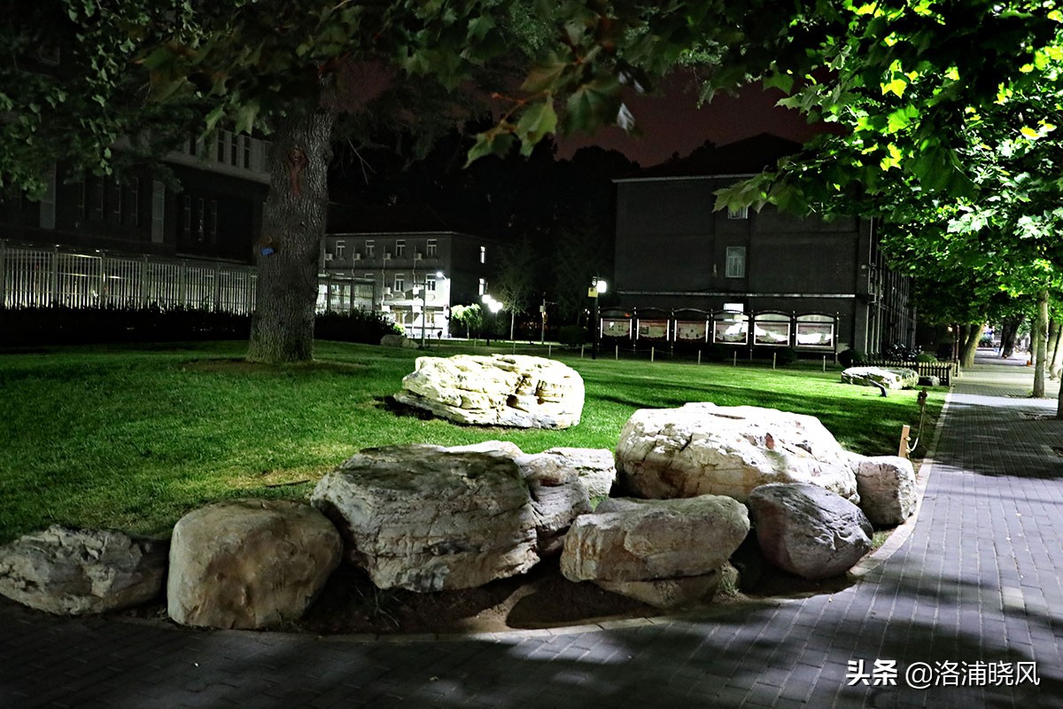 北京二外通州校区,北京二外的小语种有多好