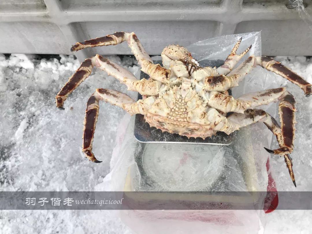 日本10天自由行费用北海道,东京北海道5日自由行攻略