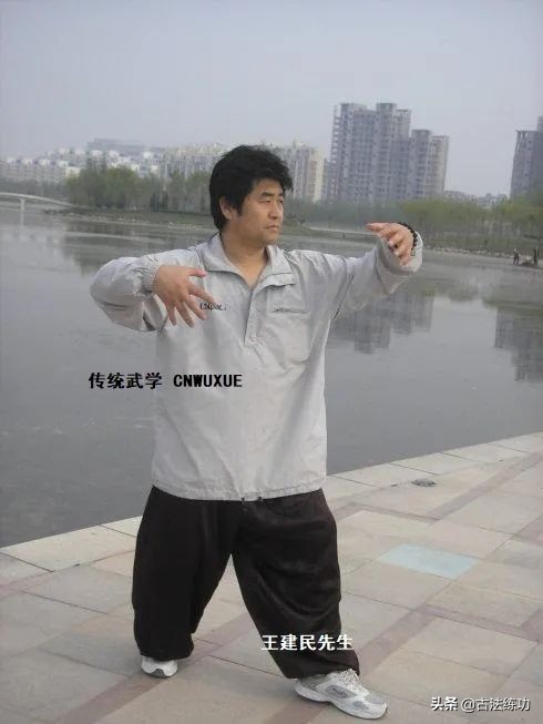 大成拳神龟出水有用吗,大成拳神龟出水视频