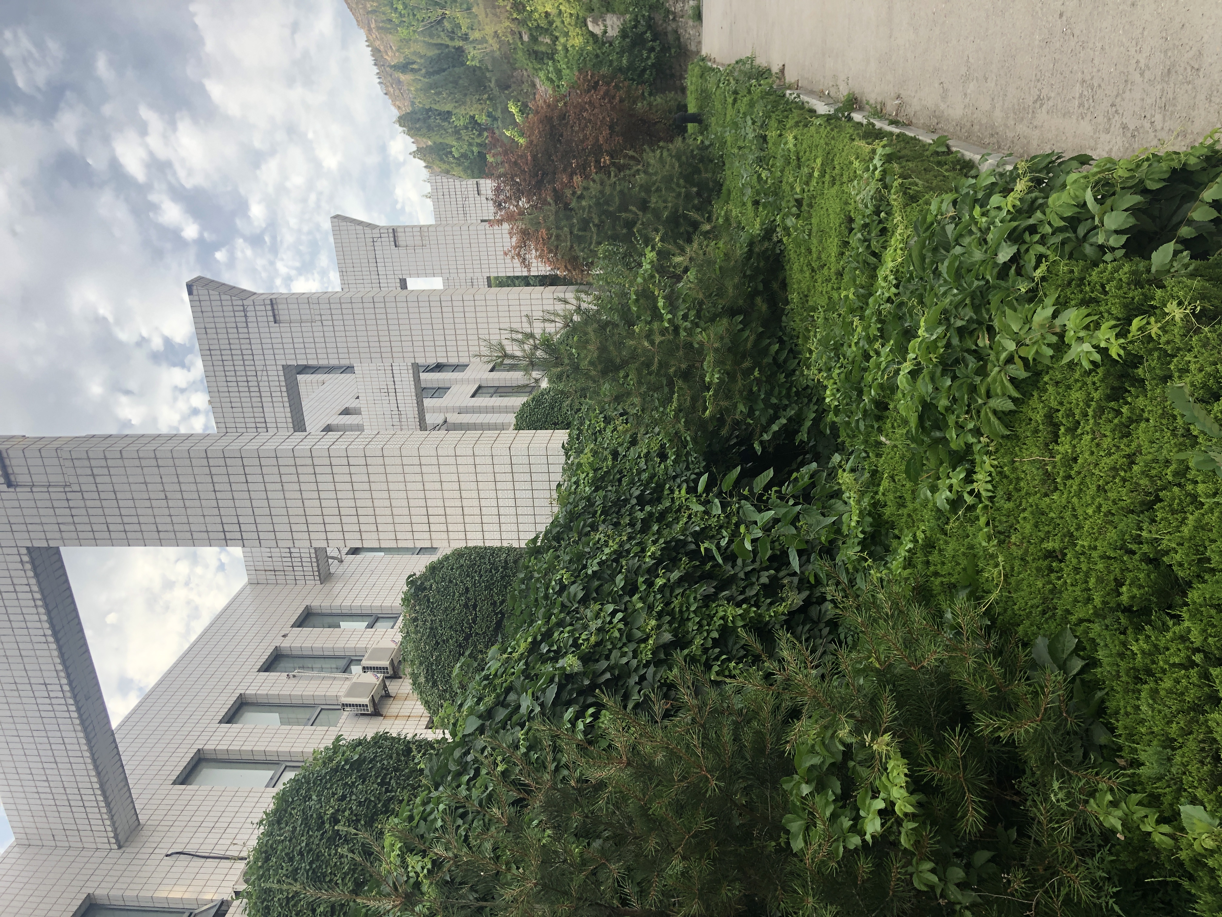 山东艺术学院介绍,中国六大艺术学院