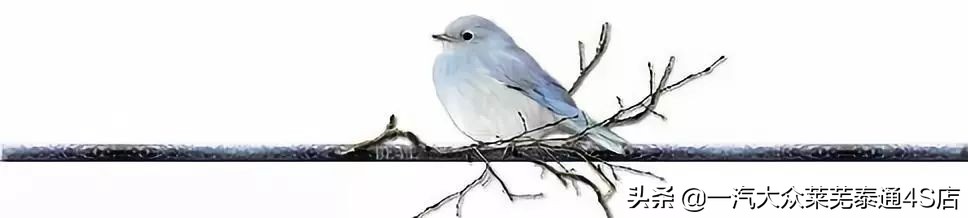 「莱芜泰通」探歌领衔，成就一汽-大众“SUV元年