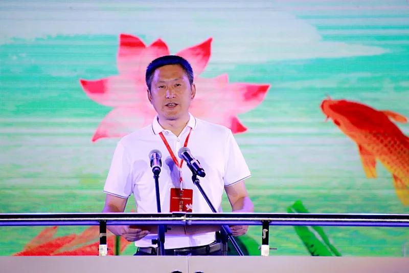 淮阳龙湖风景区荷花盛开,淮阳荷花风景区