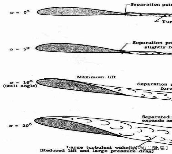 游隼为什么能飞那么快?绝招破解气流分离难题,加速无极限