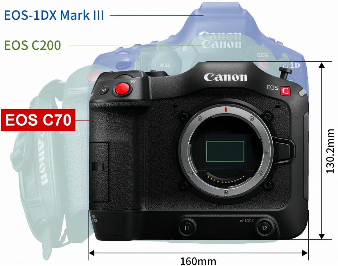 举棋不定合集,佳能aps平民三宝镜头