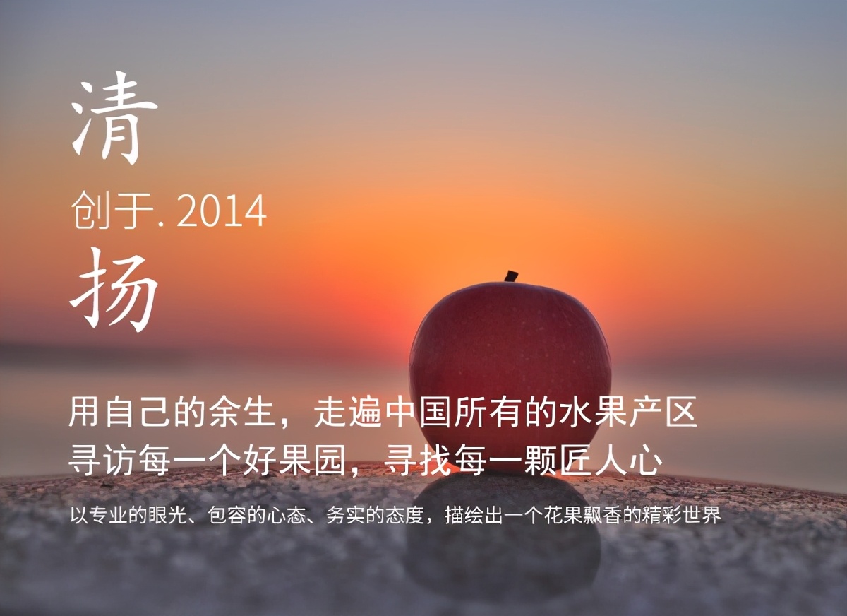 一位女村官的故事,一个农村姑娘的创业史