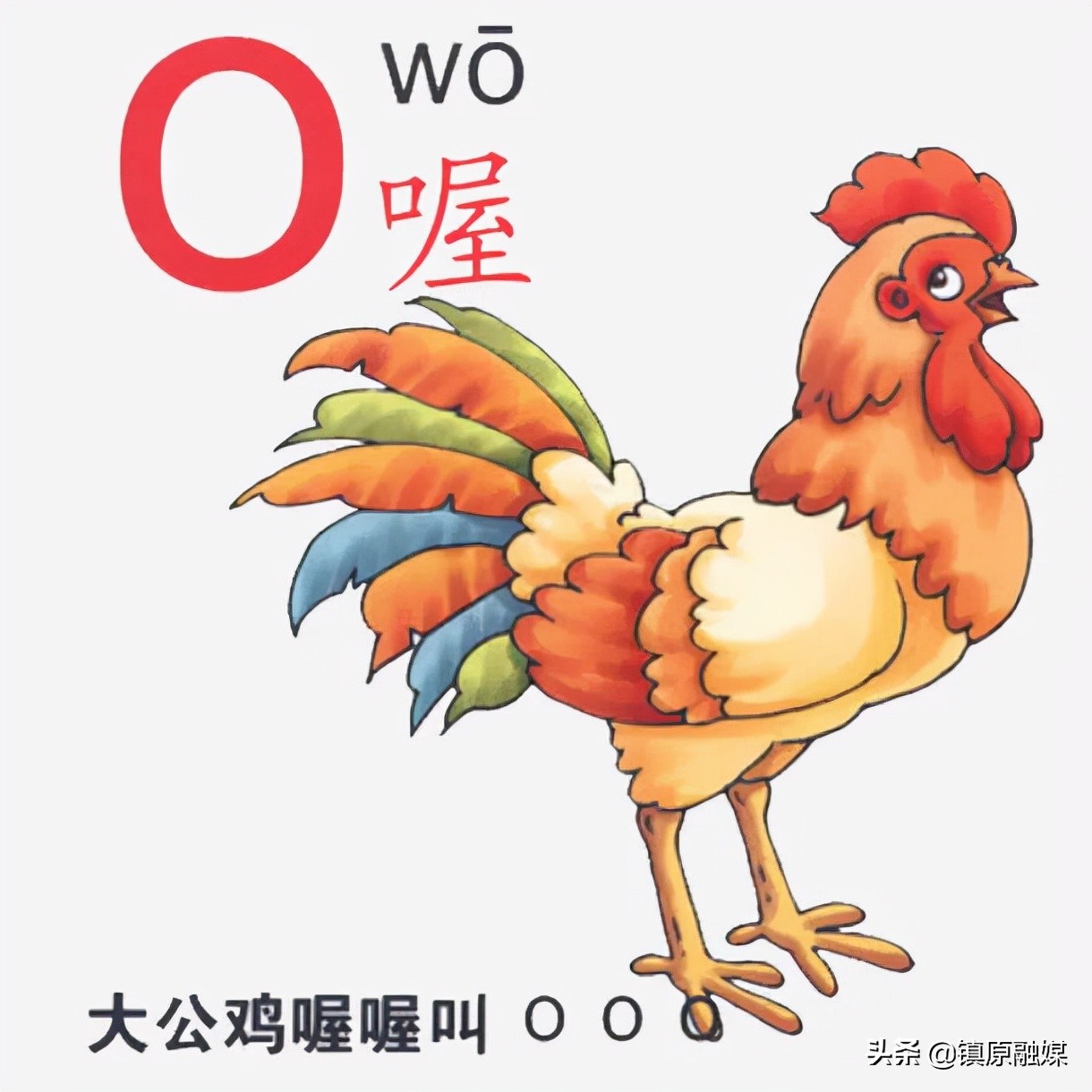 自然拼读法适合孩子,适合小学生学的自然拼读法