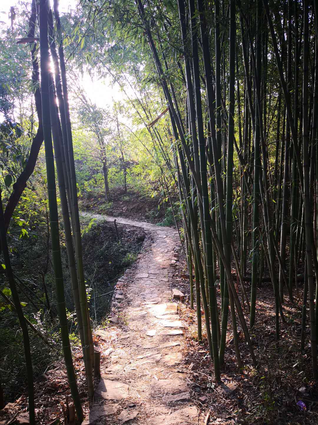 内乡一日游必去的10个免费景点,内乡石头村能去吗