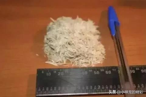 吉尼斯世界之最：最能生的女人，丈夫“不堪重负”，选择逃跑