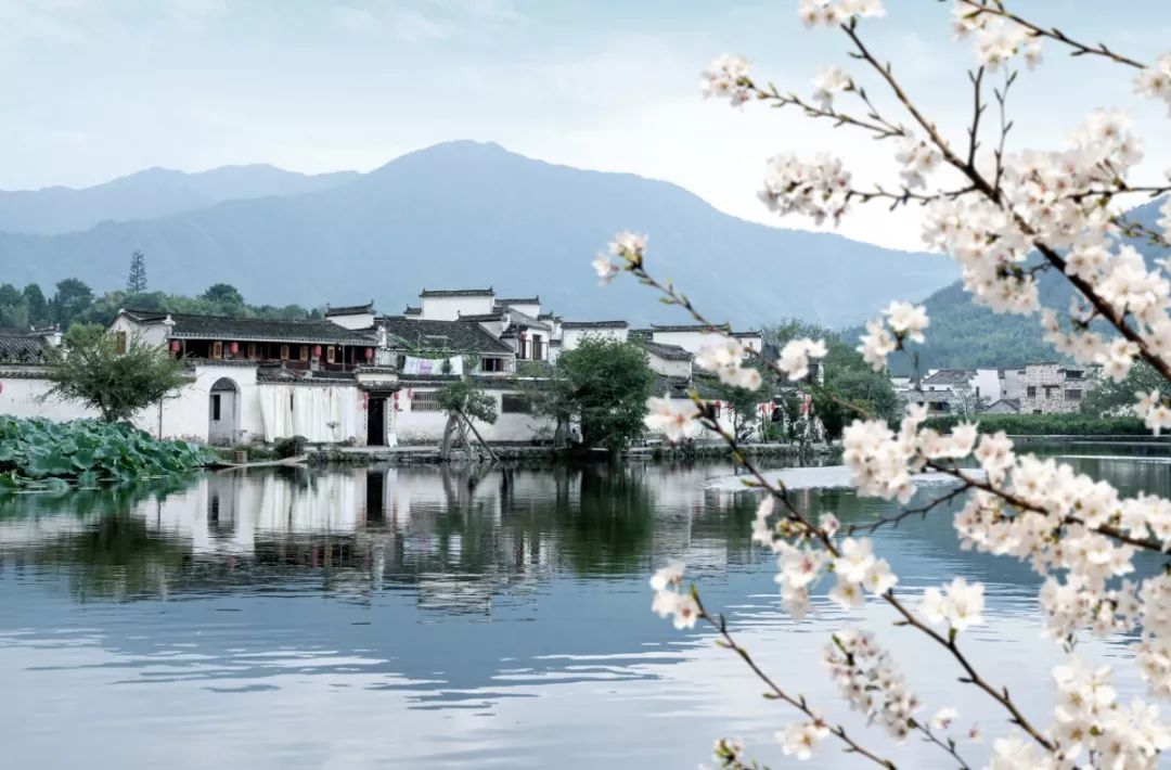 20岁一个人必去旅游的地方,20个旅行城市