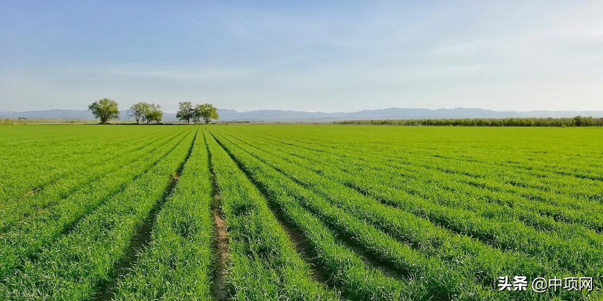 山西晋中ppp项目2018,2022晋中市重点项目