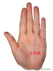 八分钟教你看手相,看手相学习好看哪根线