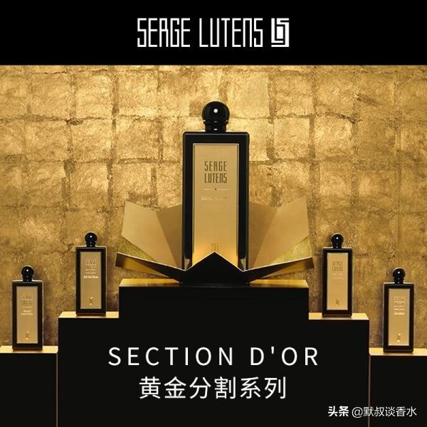 芦丹氏乌木玫瑰,芦丹氏乌木