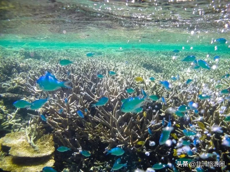 2020详细请假攻略！如何请最少的假拼最长的假期