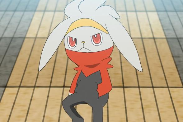 宝可梦图鉴819,宝可梦图鉴及招式