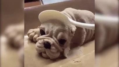 哪种雪糕好吃又便宜,各大品牌雪糕没有你找不到的